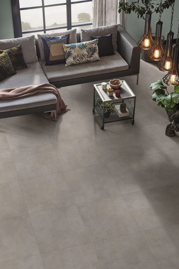 Absolute Cement Grey 24 x 48