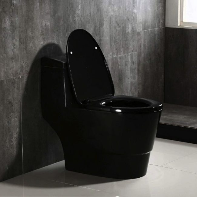B0941 Modern One Piece Toilet with Soft Closing Seat,Black Color